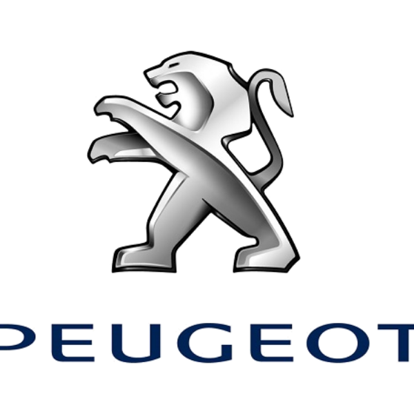 Peugeot Seat Foams