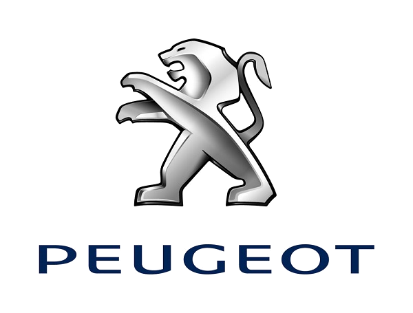 Peugeot Oturak Süngerleri