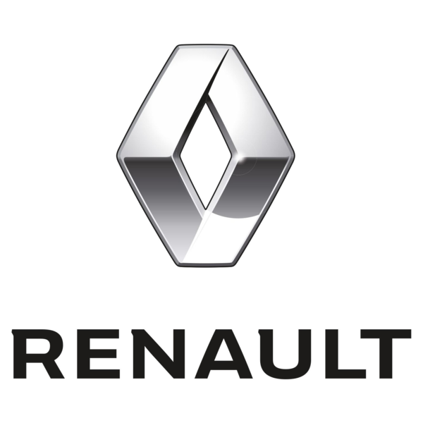 Renault Sırt Süngerleri